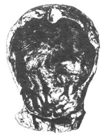 Заселение Земли человеком (с иллюстрациями) - pic.0076.jpg