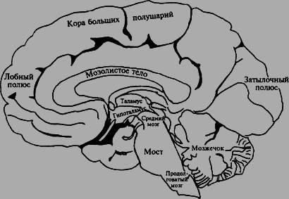 Психология - i_008.png