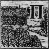 Зеленая книга леса - i_037.png