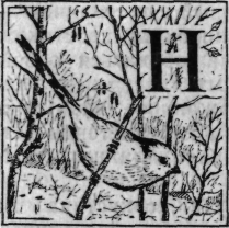 Зеленая книга леса - i_038.png