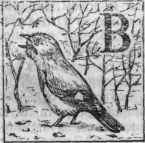 Зеленая книга леса - i_040.png