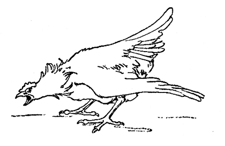 Бравый Дед в Стране Оз - pic.0081.jpg