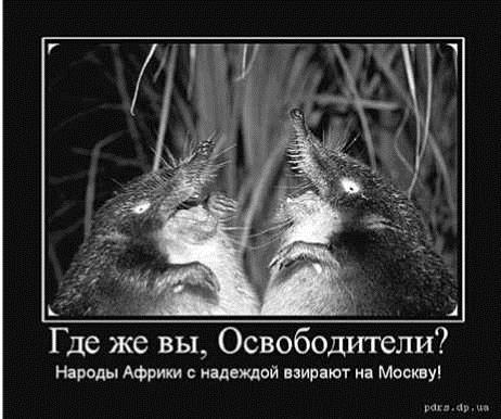 Украинский национализм: ликбез для русских - img9D9B.jpg