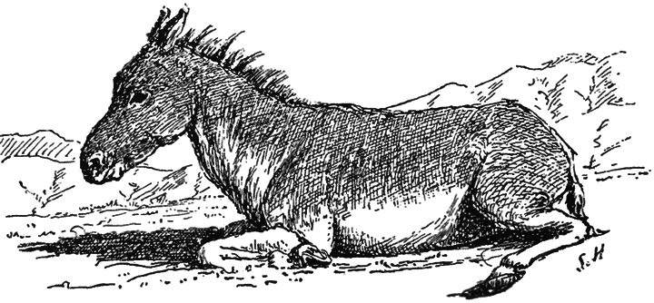 В сердце Азии. Памир — Тибет — Восточный Туркестан. Путешествие в 1893–1897 годах - i_067.png