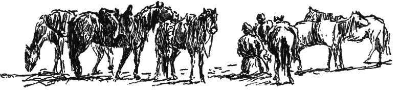 В сердце Азии. Памир — Тибет — Восточный Туркестан. Путешествие в 1893–1897 годах - i_070.png