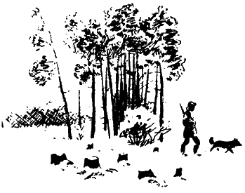 Лесничиха (сборник) - i_003.png