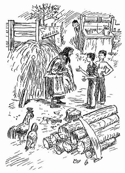 Приключения Григория Половинки - _10.jpg