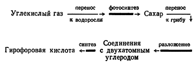 Путешествие в страну микробов - n_15.png