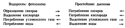 Путешествие в страну микробов - n_18.png