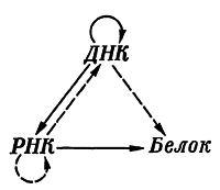 Путешествие в страну микробов - n_27.png