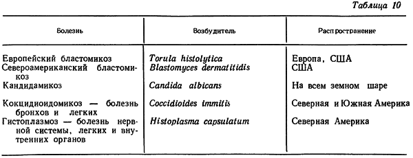 Путешествие в страну микробов - n_38.png