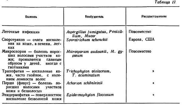 Путешествие в страну микробов - n_39.png