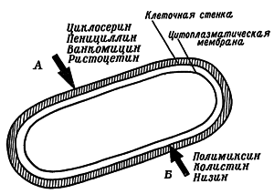 Путешествие в страну микробов - n_48.png