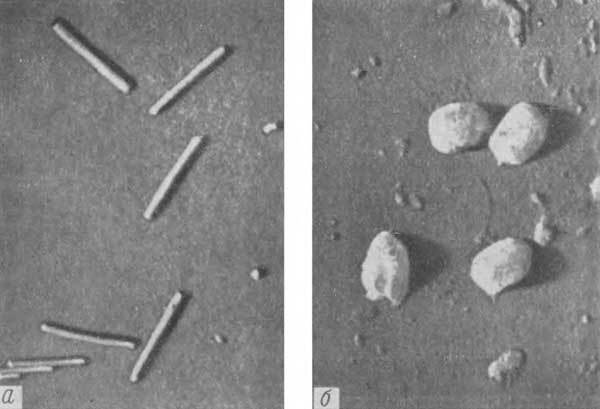 Путешествие в страну микробов - n_35.jpg