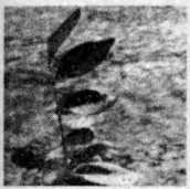 Внутренние война и мир - image4.jpg