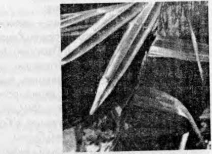 Внутренние война и мир - image5.jpg