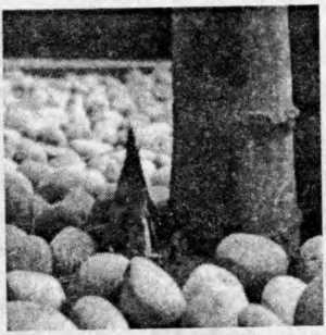 Внутренние война и мир - image6.jpg