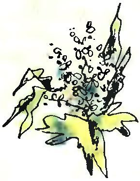 Летний дождик в декабре - i_042.jpg