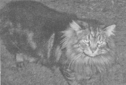 Украденная жизнь - i_013.jpg