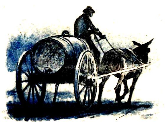 Человек-амфибия (илл. П. Луганского) - pic_37.jpg