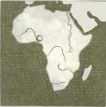 Шеренга великих путешественников - i_121.jpg