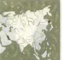 Шеренга великих путешественников - i_123.jpg