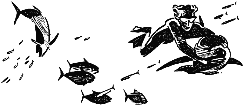 Том 3. Человек-амфибия - i_011.png