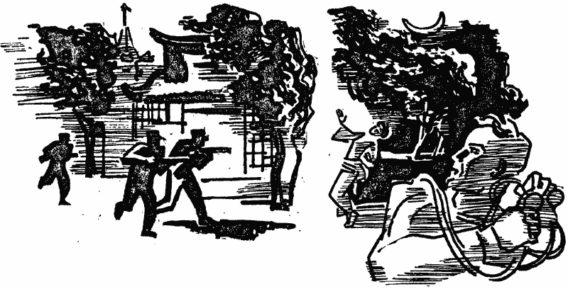 Том 3. Человек-амфибия - i_041.png