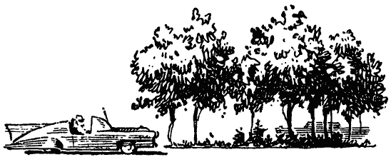 Том 6. Звезда КЭЦ - i_019.png