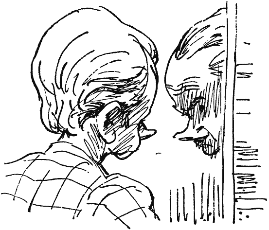 Том 7. Человек, нашедший свое лицо - i_007.png