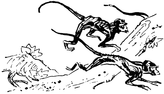 Том 7. Человек, нашедший свое лицо - i_032.png