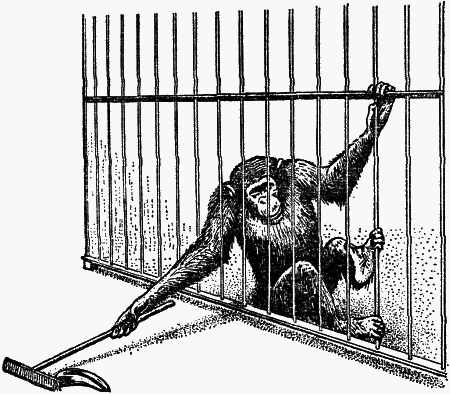 Думают ли животные? - i_036.png