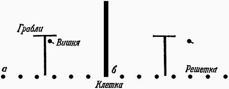 Думают ли животные? - i_042.png