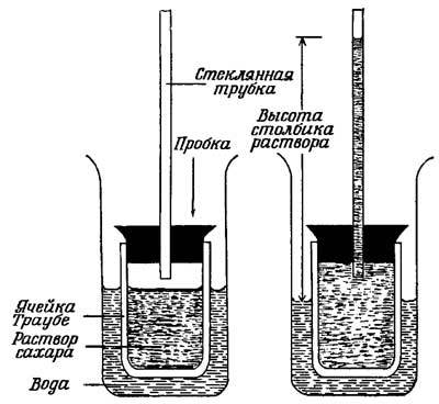 Живые часы - n11.jpg