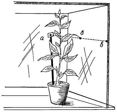 Живые часы - n15.jpg