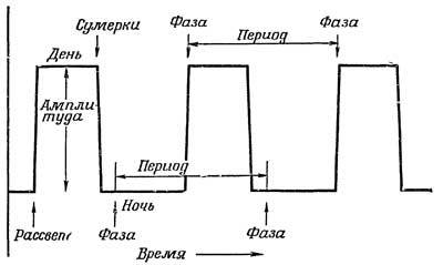 Живые часы - n25.jpg