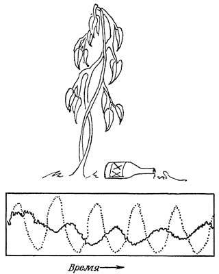 Живые часы - n55.jpg