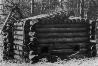 Двинские дали - _9.png_0