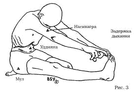 Древние тантрические техники йоги и крийи. Мастер-курс - image035.png