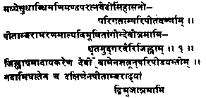 Древние тантрические техники йоги и крийи. Продвинутый курс - image027.png