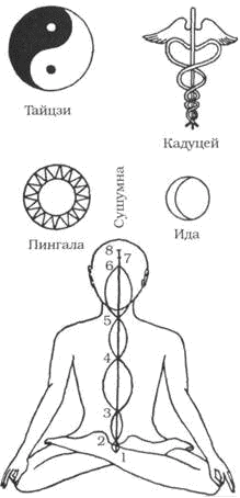 Древние тантрические техники йоги и крийи. Продвинутый курс - image098.png