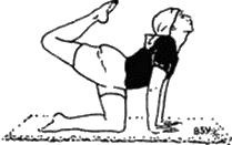 Древние тантрические техники йоги и крийи. Вводный курс - image043.png