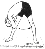 Древние тантрические техники йоги и крийи. Вводный курс - image074.png