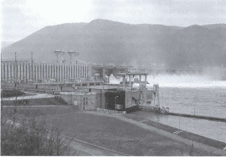 История сербов - i_049.jpg