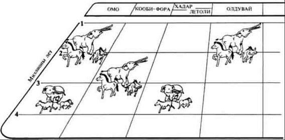 Люси. Истоки рода человеческого - J43.jpg