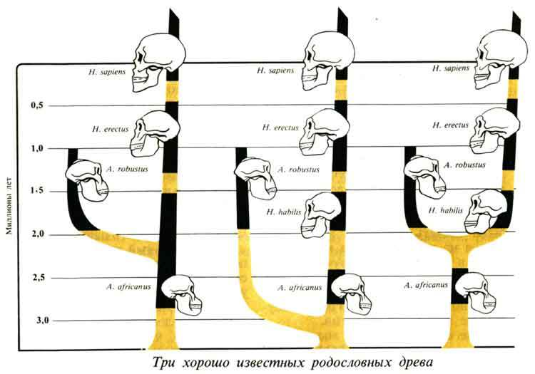 Люси. Истоки рода человеческого - J5900000.jpg