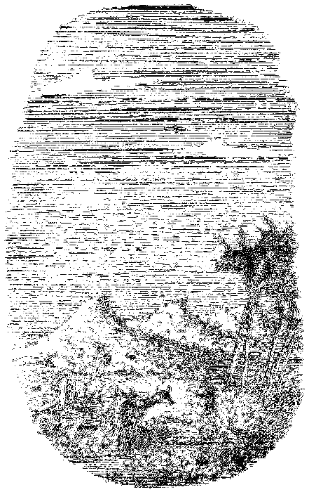 Мгновенье на ветру - i_014.png