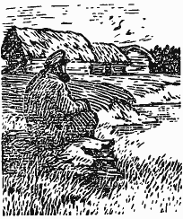 В краю непуганых птиц (сборник) - i_005.png