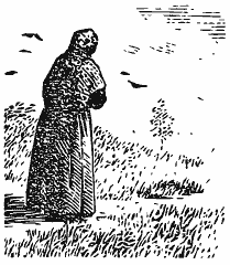 В краю непуганых птиц (сборник) - i_006.png