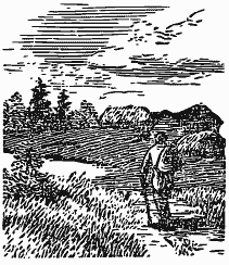 В краю непуганых птиц (сборник) - i_008.png